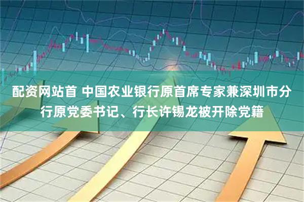配资网站首 中国农业银行原首席专家兼深圳市分行原党委书记、行长许锡龙被开除党籍