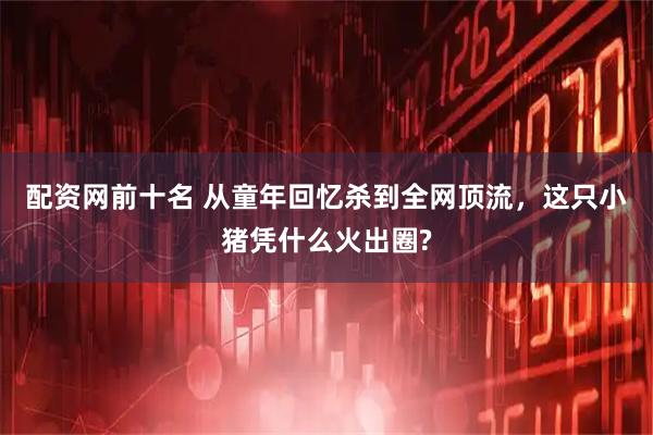 配资网前十名 从童年回忆杀到全网顶流，这只小猪凭什么火出圈?