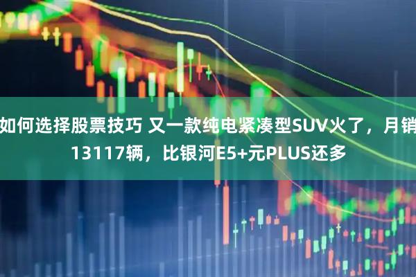 如何选择股票技巧 又一款纯电紧凑型SUV火了，月销13117辆，比银河E5+元PLUS还多